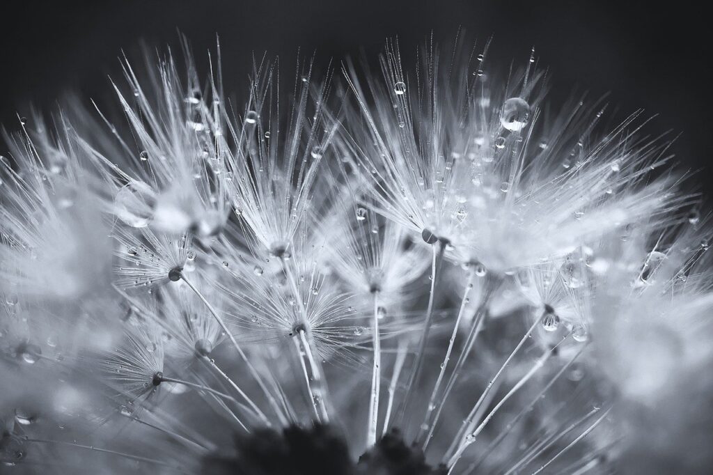 寝付きが良くなるサプリの効果とおすすめは？