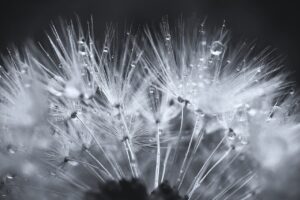 寝付きが良くなるサプリの効果とおすすめは？