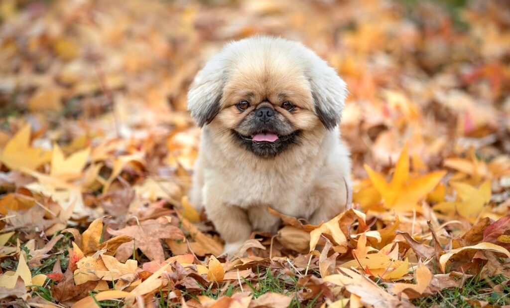 睡眠不足の症状を簡単にチェックする方法は？