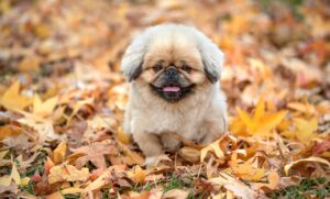 睡眠不足の症状を簡単にチェックする方法は？