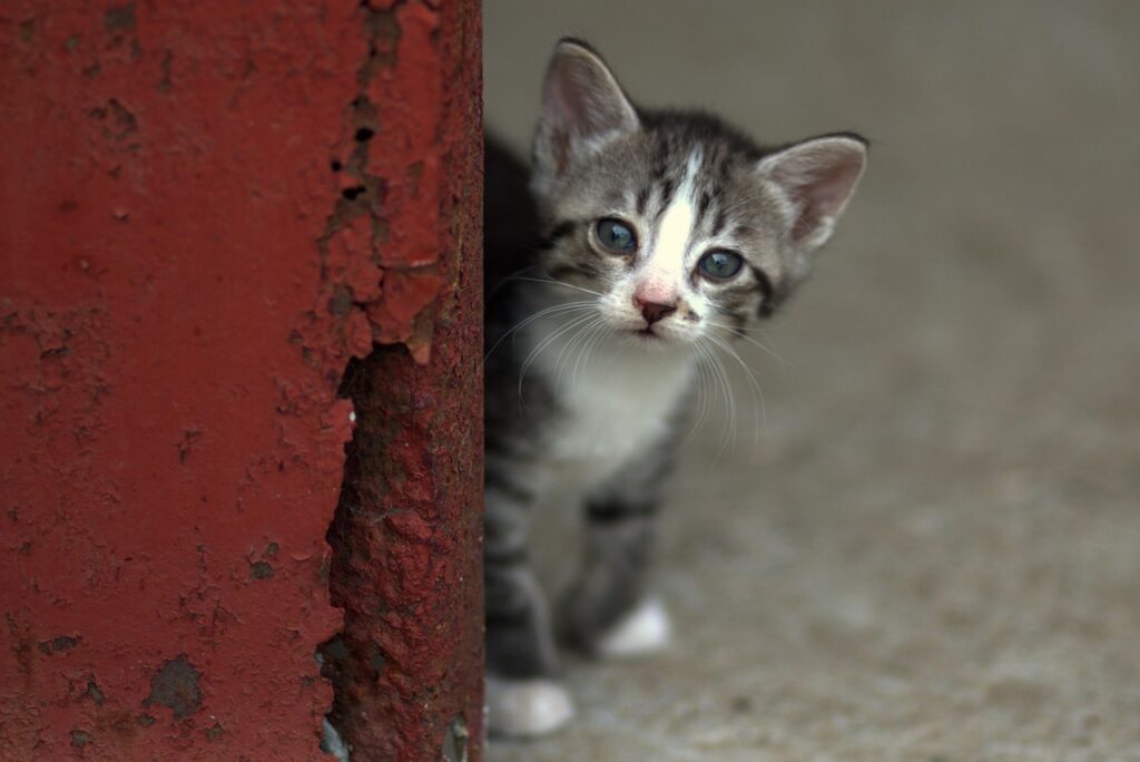 交感神経を抑えるために寝る前に試すべきリラックス法は？