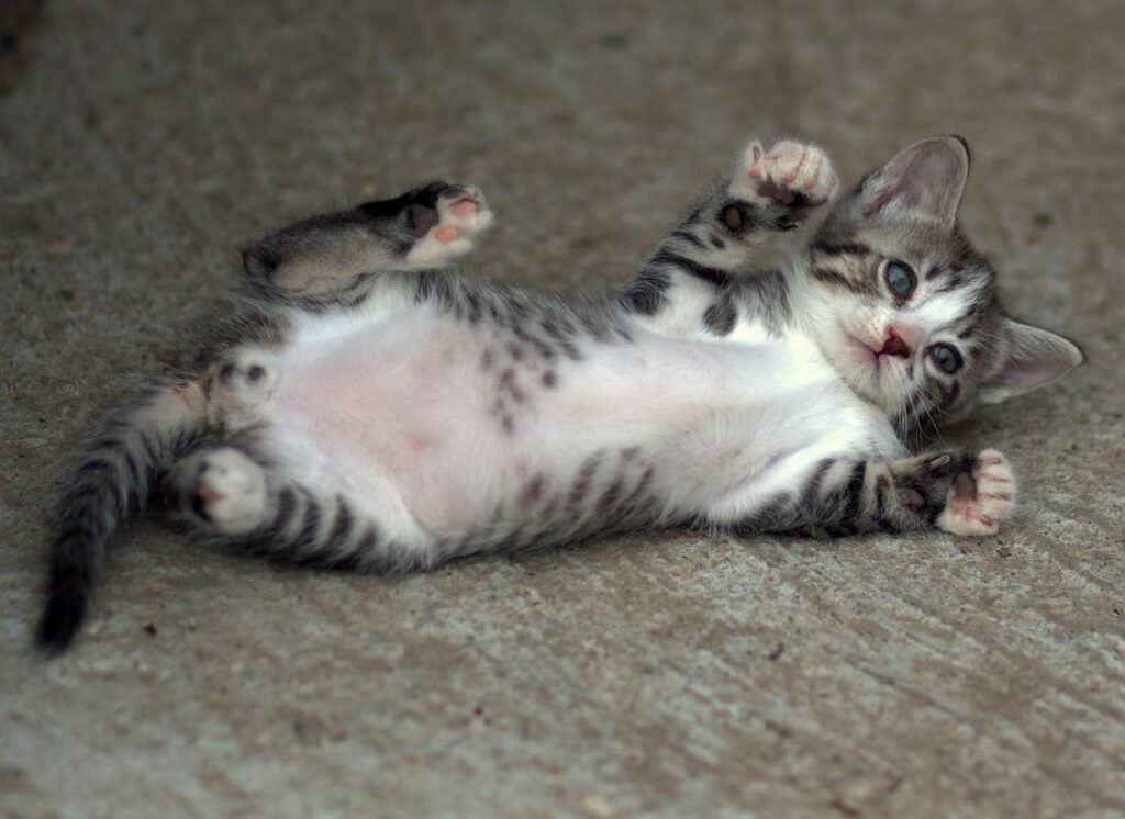 交感神経を抑えるための寝る前の効果的なリラックス法は？