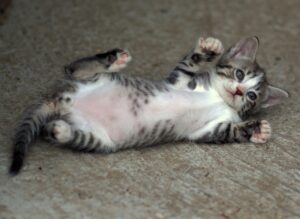 交感神経を抑えるための寝る前の効果的なリラックス法は？