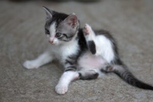 副交感神経を高める方法にはどんなものがある？