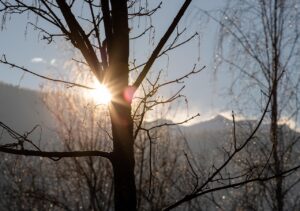 朝スッキリ起きる方法にはどんな工夫が必要？