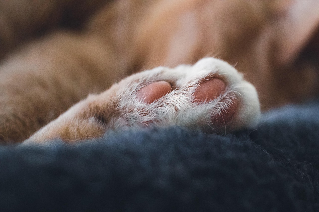睡眠のリズムを整える方法とは？