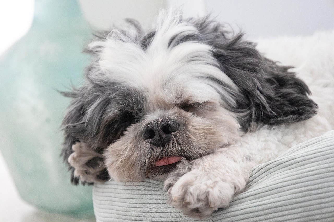 睡眠リズムを整えるための効果的な方法とは？