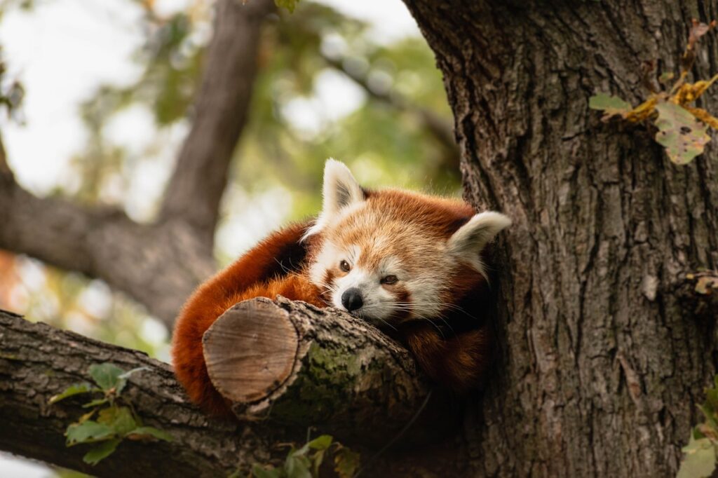 オーバーワークによる眠気を解消するための効果的な方法は？