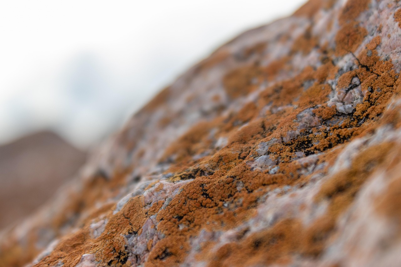 朝型と夜型のメリットとデメリットはどちらが優れている？