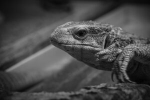 寝具を変えたら眠れる理由とは？