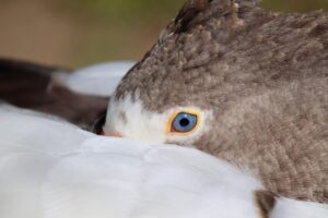 二度寝をやめたいあなたにおすすめの改善方法は？