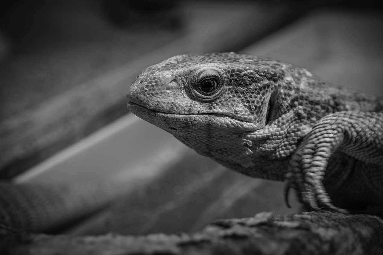 寝つきを良くするための呼吸法とは？