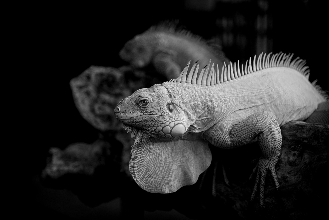 足首を温めると眠れる理由とは？