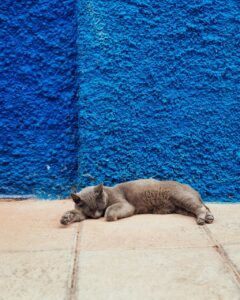アロマミストで睡眠の質を高める効果とは？