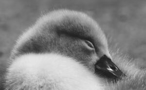 季節の変わり目に起こる睡眠不調の原因と対策は？