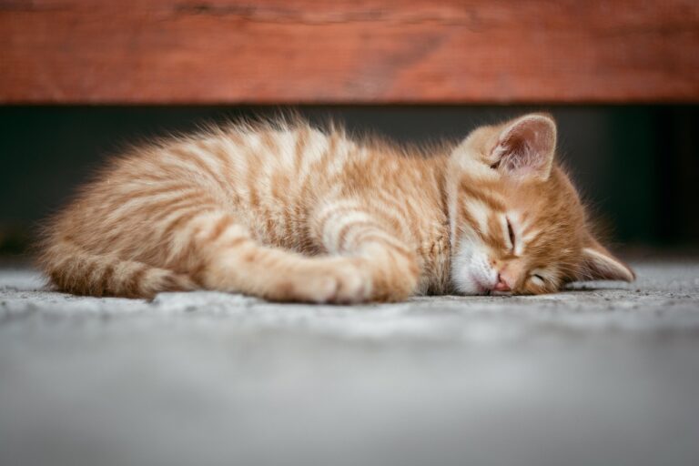 睡眠の質を上げるグッズは本当に効果がある？