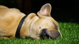 睡眠の質を変えるための朝活方法は？