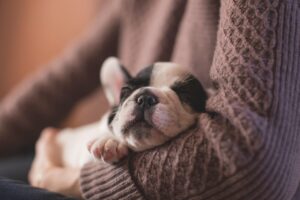 睡眠の質を改善するためのサウンドマシンは本当に効果的？