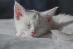 睡眠改善は何から始めるべき？