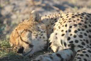 睡眠の質を上げるためのパジャマの選び方は？